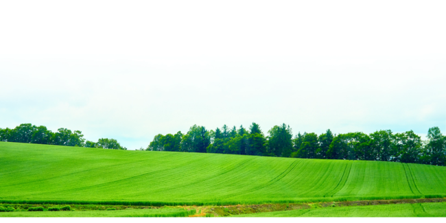 北海道産プレミアム野菜