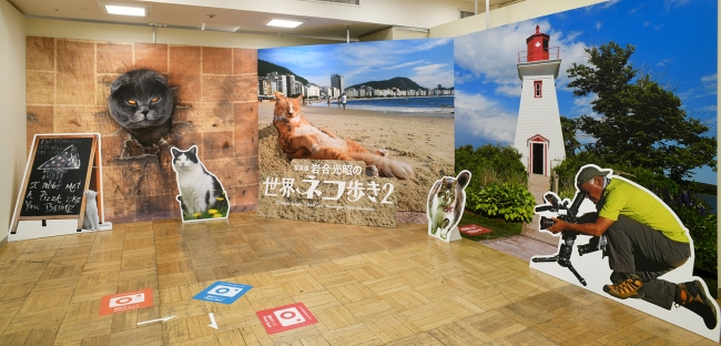 写真展会場内に設置のフォトスポット！岩合さんと一緒に写真が撮れます♪