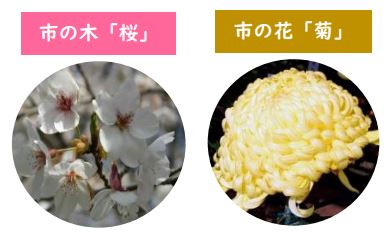 市の木「桜」・市の花「菊」