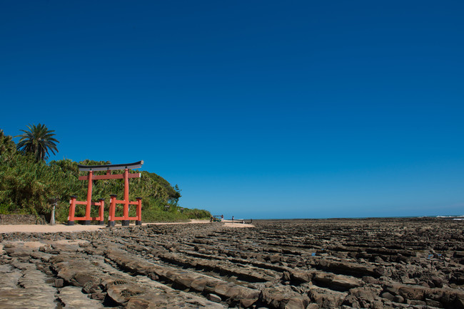 ANA ホリデイ・インリゾート宮崎から徒歩15分の距離にある青島。縁結びのご利益で知られる宮崎随一の人気スポットは、島全体が境内とも言われる青島の中央に社があり、島にかかる弥生橋を渡って参拝することができます。