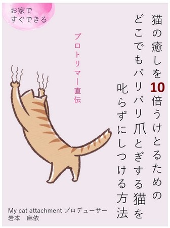 猫の癒しを１０倍うけとるためのどこでもバリバリ爪とぎする猫を叱らずにしつける方法