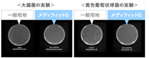 MEDIFIT-Gの抗菌機能実験