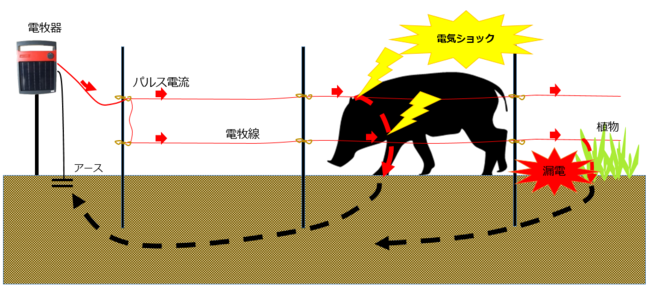 電気柵のしくみ