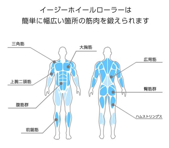 全身を簡単トレーニング