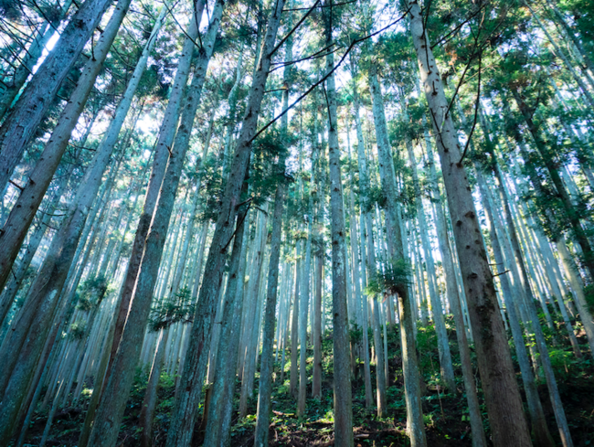 吉野町　撮影：西岡潔