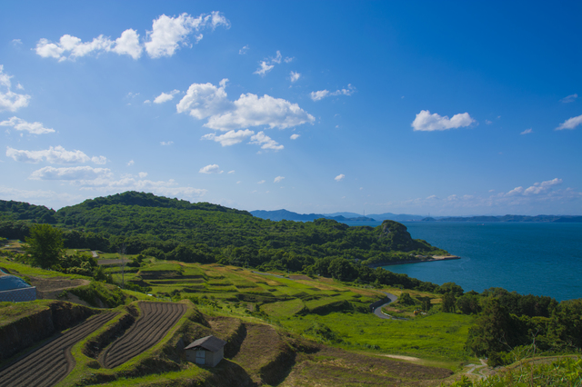 瀬戸内国際芸術祭では、アートとともに瀬戸内の島々の美しい自然も楽しめます。