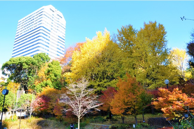 清水谷公園