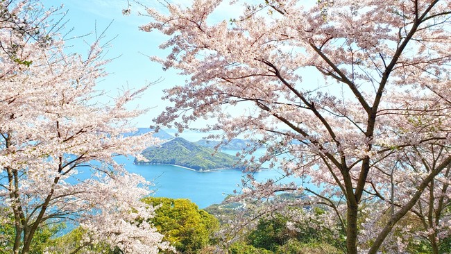 紫雲出山