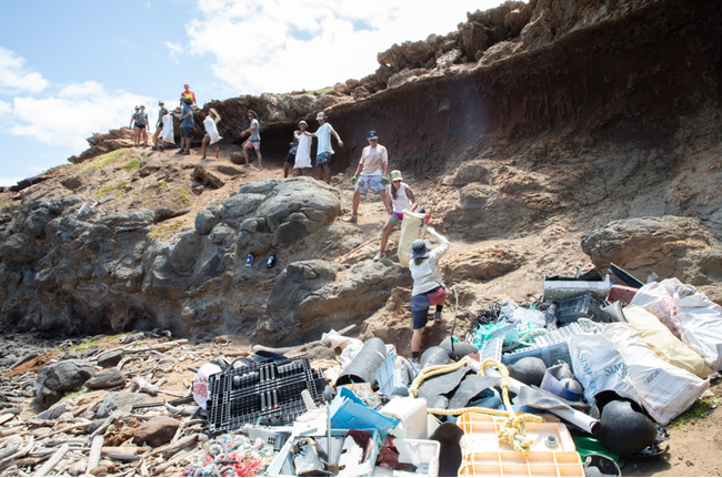 ©Sustainable Coastlines Hawaiʻi