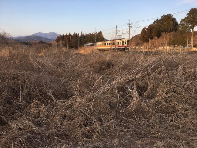 倉ケ崎SL花畑整備前