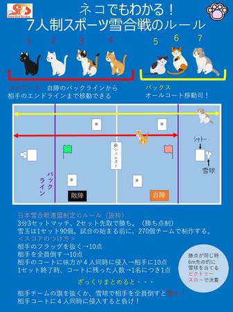 ネコでもわかる雪合戦ルール　日本雪合戦連盟に基づく