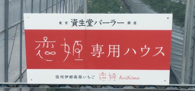 長野県 信州畑工房 “恋姫”　資生堂パーラー専用ハウス