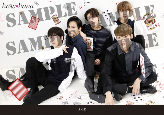 【A.C.E】「haru＊hana」 vol.055購入特典