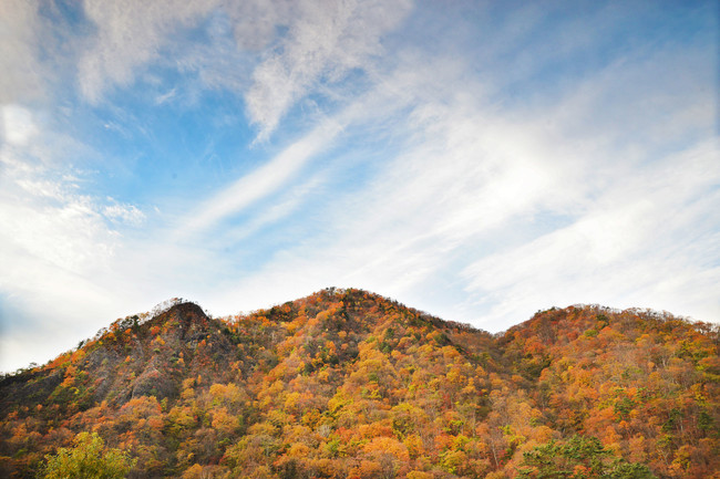 昨年（2019年）の11月上旬の景色　かじか荘の温泉から見える秋の山の様子