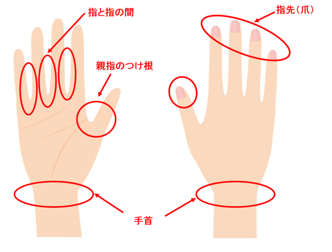 洗い残しポイント