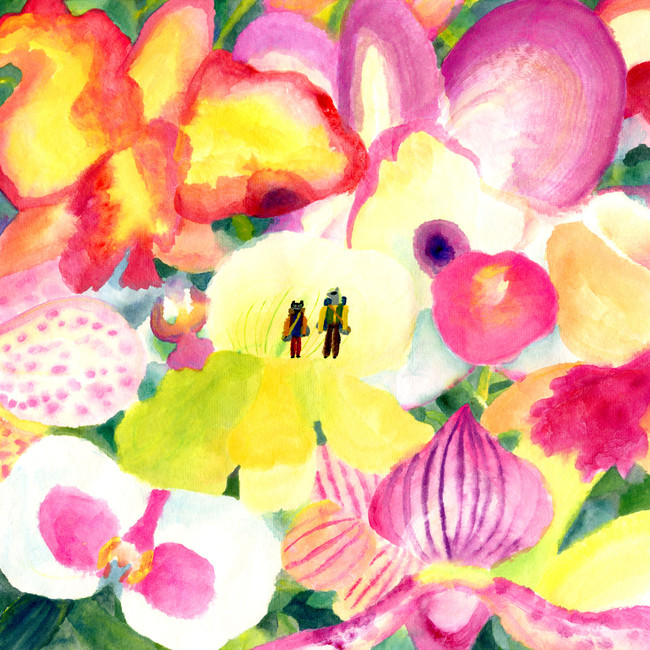 「Orchid Hunter」ジャケット