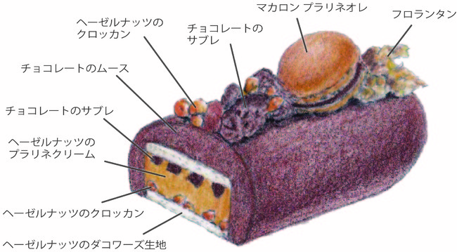 ショコラ ノワゼット断面図