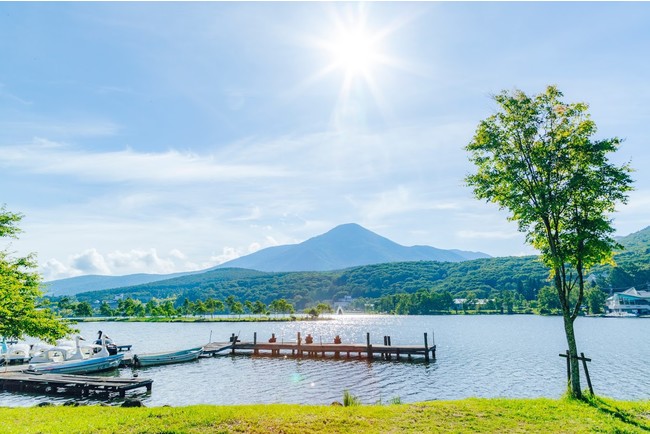 初夏の白樺湖