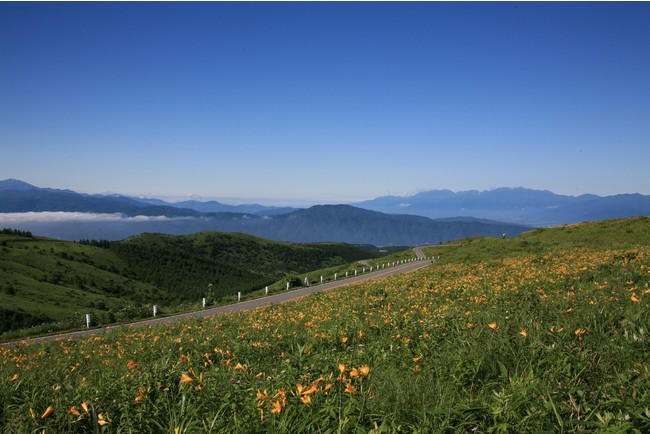 車山高原を通るビーナスライン