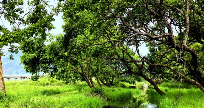 多様な生物のSanctuary