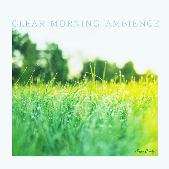 CLEAR MORNING AMBIENCE