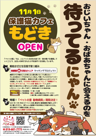 保護猫カフェもどきプレスリリース