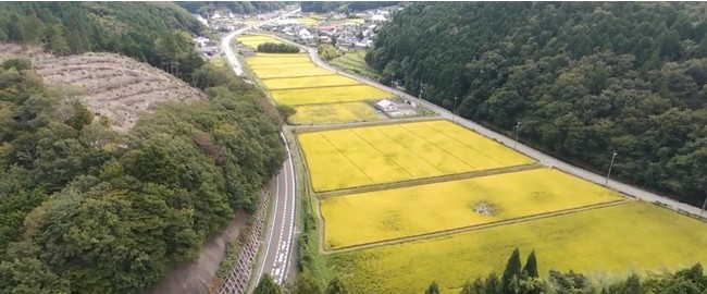 天王地区中心エリアの写真