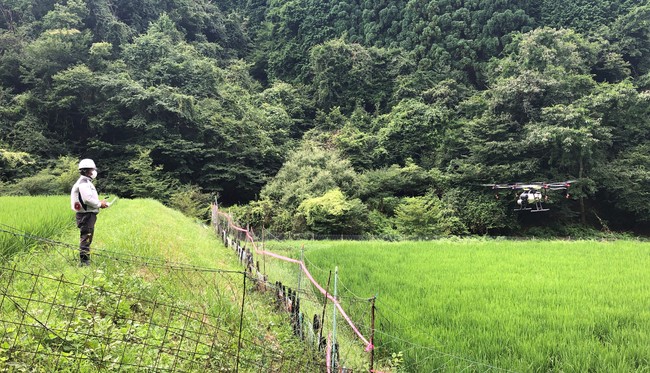 水田を飛翔するドローン