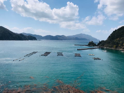 小浜よっぱらいサバ養殖の舞台「小浜市田烏」