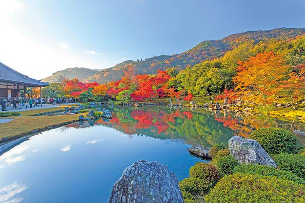 天龍寺の紅葉は借景もあいまって、スケールの大きい眺めに 