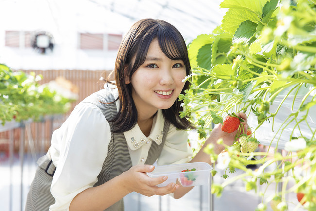 名古屋市出身・沢口愛華さんが滋賀県東近江市の「いちご ぷらんと」で食べ比べを体験