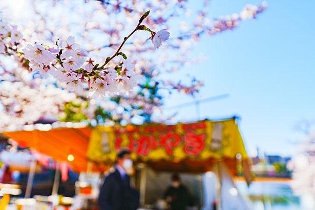 コロナ禍で迎える2度目の花見シーズン