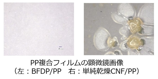 ▲左はうまく分散しているが、右は凝集が見られる。