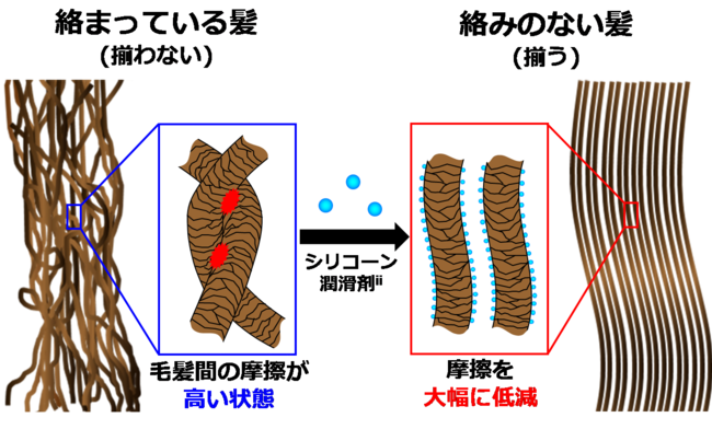 自発的な毛揃い制御技術