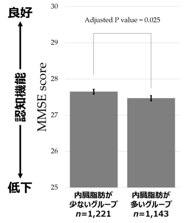 図2 内臓脂肪と認知機能の関係性