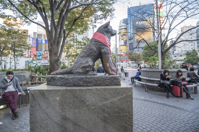 「渋谷パラダイス」開催を機に渋谷に関する意識・イメージ調査を実施