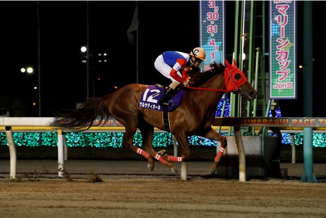 昨年のマリーンカップはサルサディオーネが優勝