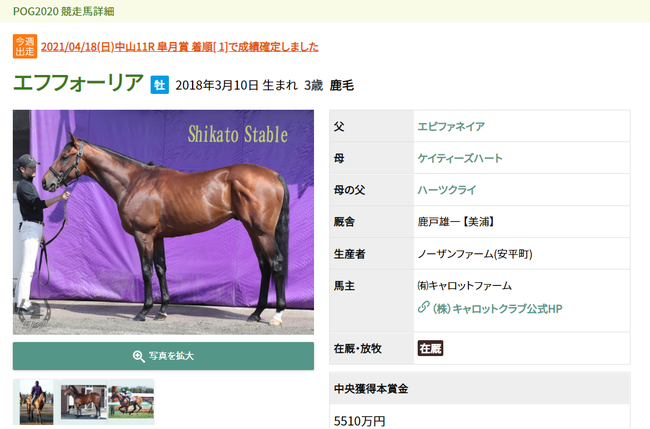 2021年皐月賞馬のエフフォーリアもサイトで紹介されていた