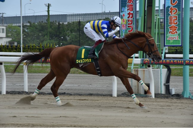 昨年はワイドファラオが優勝したかしわ記念