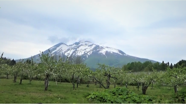 岩木山と木村リンゴ園