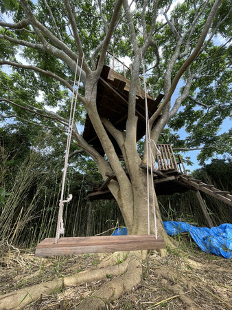 タイミングが合えばば無人島　ツリーハウス生活も！