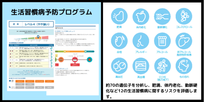 生活習慣病予防プログラム