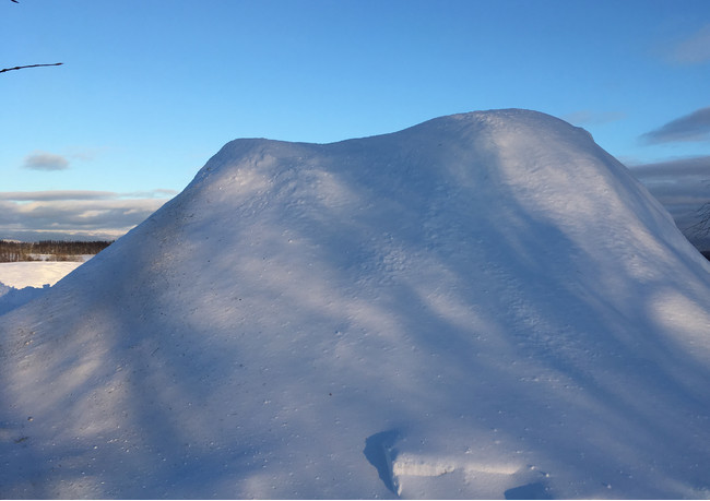 雪中貯蔵の様子