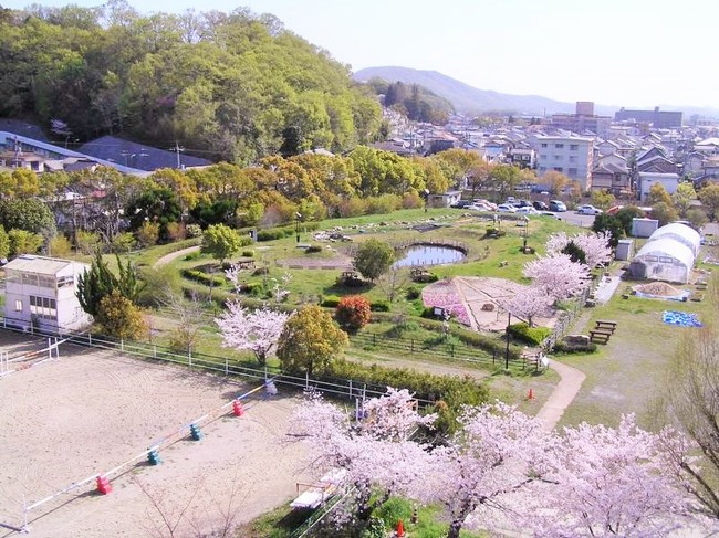 学内水循環施設（ビオトープ池：誕生池）（岡山大学津島キャンパス）