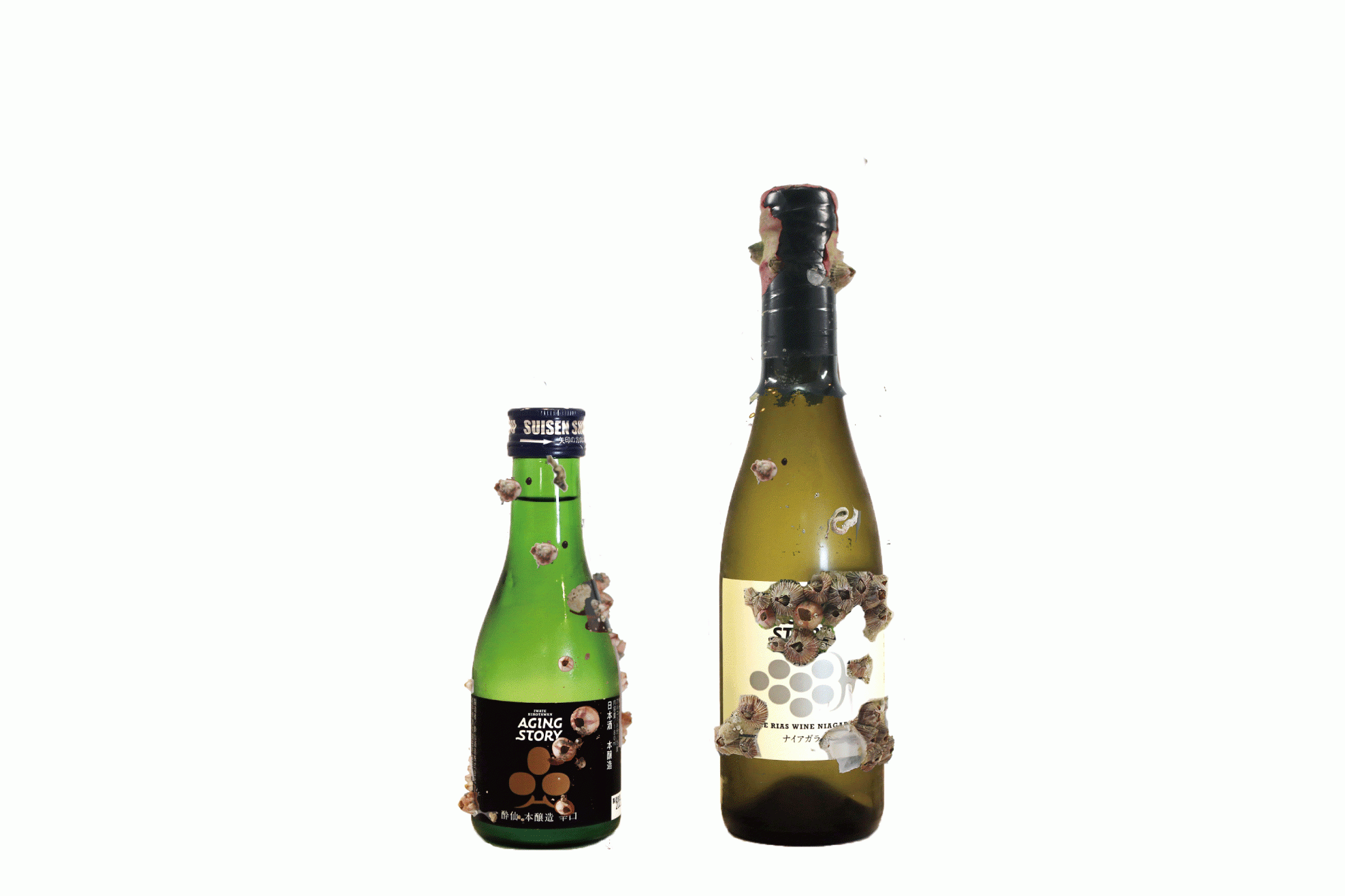 熟成後のお酒