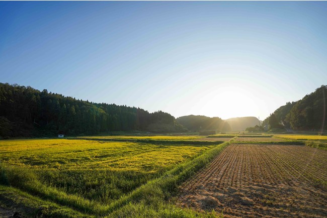 能登町山口集落