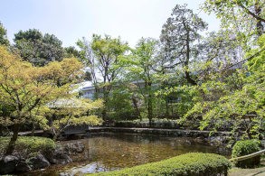 公園からの視線を考慮し、木立となじむ端正な外観