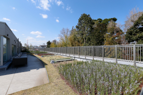 隣接する公園とみどりでつながる屋上庭園