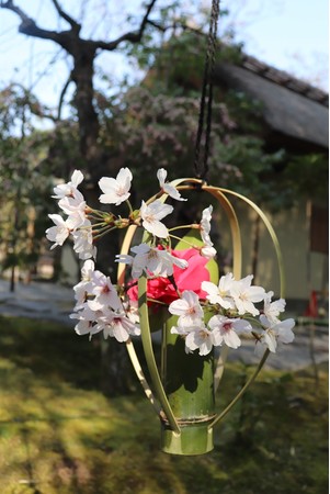 竹装飾を彩る椿と桜※画像は過去開催時のもの