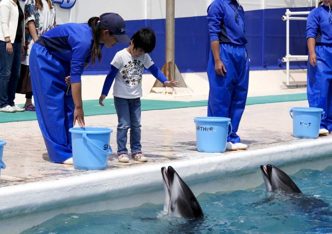 「飼育の日」にイルカの給餌体験